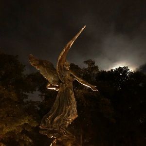 Meet your Posher, Lilly